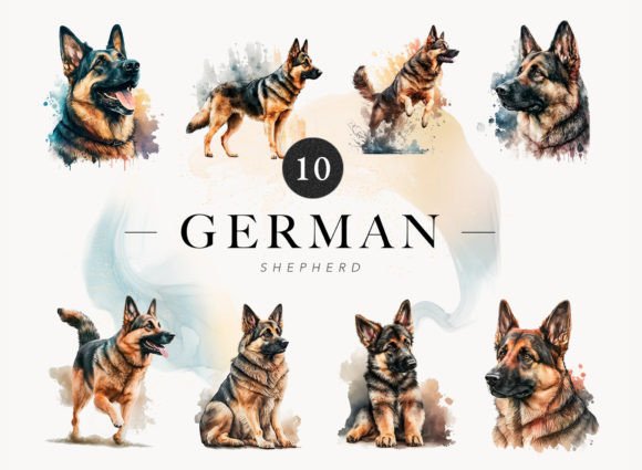 Download 10 German Shepard Watercolor Clip Art - Clip art Collection